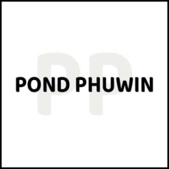 POND / PHUWIN