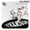 VELENCE / DOUBLE TROUBLE カーペット