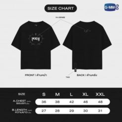 Alternative view of RISER CONCERT/ PERTH オフィシャルTシャツ