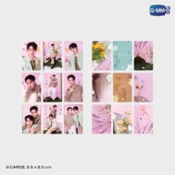 Alternative view of GMMTV / SURFJAVA ELEMENTS OF SEASONS フォトカードセット